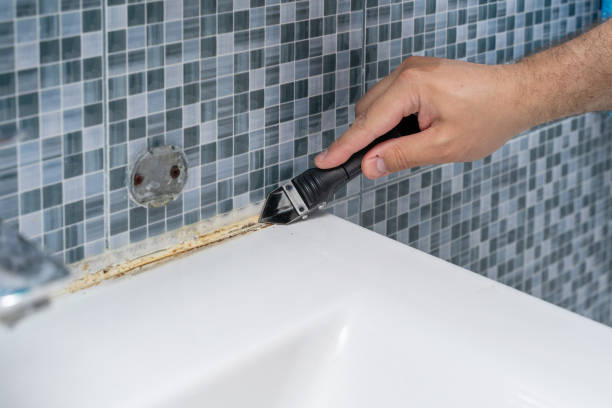 Best Professional Mold Removal  in Westminster, MD